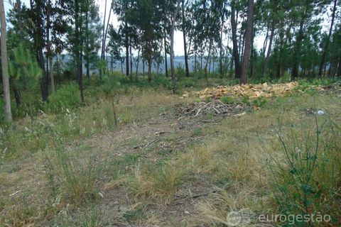 Helårsgrund i Viseu, Viseu, Viseu - € 95.000 | Ref: LMG_3620 - N - foto 26