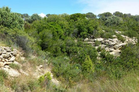 Finca i Maella, Zaragoza, Maella - € 19.500 | Ref: 0708 - foto 18