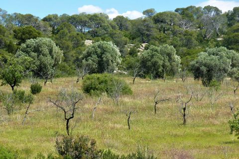 Finca i Maella, Zaragoza, Maella - € 19.500 | Ref: 0708 - foto 16
