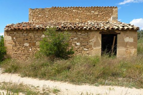 Finca i Maella, Zaragoza, Maella - € 19.500 | Ref: 0708 - foto 7