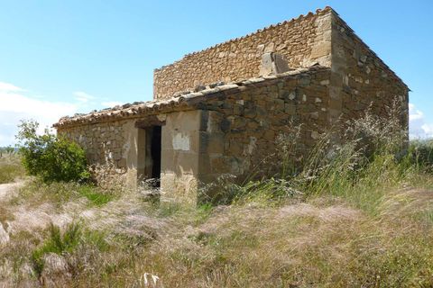 Finca i Maella, Zaragoza, Maella - € 19.500 | Ref: 0708 - foto 6