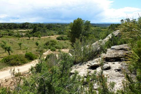 Finca i Maella, Zaragoza, Maella - € 19.500 | Ref: 0708 - foto 17