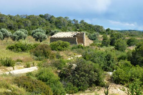 Finca i Maella, Zaragoza, Maella - € 19.500 | Ref: 0708 - foto 1
