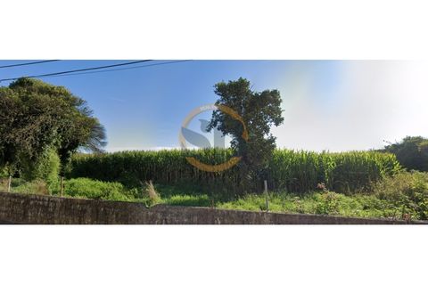 Farm i Ovar, Aveiro, Ovar - € 210.000 | Ref: Q/0049 - foto 4
