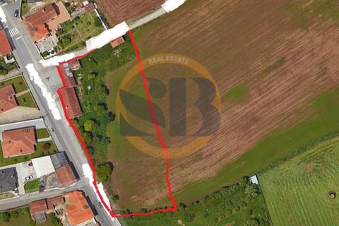 Farm i Ovar, Aveiro, Ovar - € 210.000 | Ref: Q/0049 - foto 11