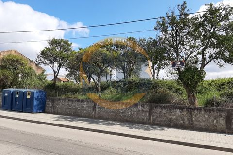 Farm i Ovar, Aveiro, Ovar - € 210.000 | Ref: Q/0049 - foto 6