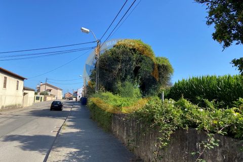 Farm i Ovar, Aveiro, Ovar - € 210.000 | Ref: Q/0049 - foto 7