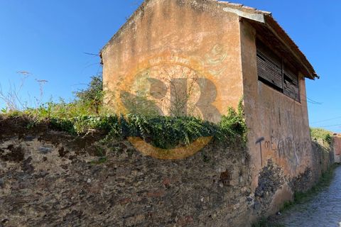 Farm i Ovar, Aveiro, Ovar - € 210.000 | Ref: Q/0049 - foto 8