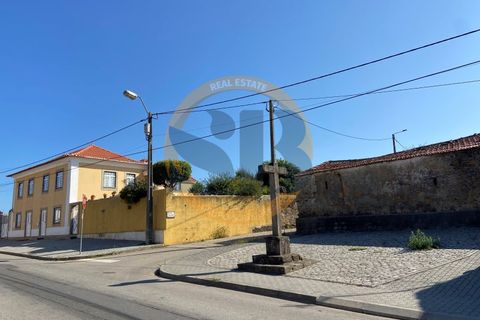 Farm i Ovar, Aveiro, Ovar - € 210.000 | Ref: Q/0049 - foto 9