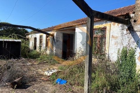 Farm i Ovar, Aveiro, Ovar - € 210.000 | Ref: Q/0049 - foto 10
