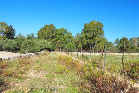 Helårsgrund i Scicli, Ragusa, Scicli - € 50.000 | Ref: 15 - foto 5