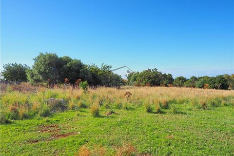 Helårsgrund i Scicli, Ragusa, Scicli - € 50.000 | Ref: 15 - foto 7