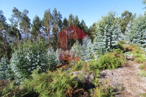 Helårsgrund i Vila Verde, Braga, Vila Verde - € 120.000 | Ref: 07452 - foto 1
