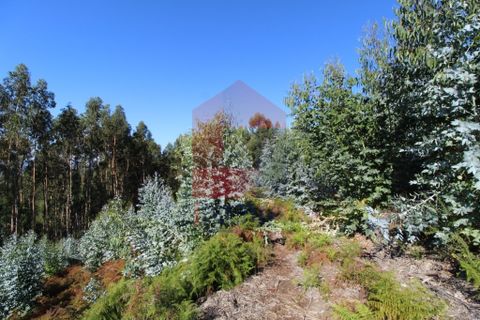 Helårsgrund i Vila Verde, Braga, Vila Verde - € 120.000 | Ref: 07452 - foto 2