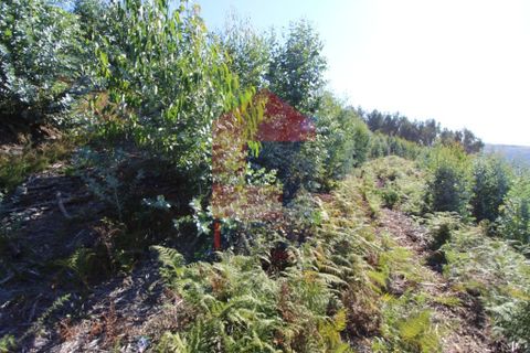 Helårsgrund i Vila Verde, Braga, Vila Verde - € 120.000 | Ref: 07452 - foto 5