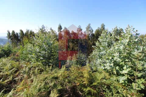 Helårsgrund i Vila Verde, Braga, Vila Verde - € 120.000 | Ref: 07452 - foto 6