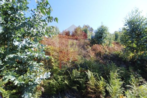 Helårsgrund i Vila Verde, Braga, Vila Verde - € 120.000 | Ref: 07452 - foto 7