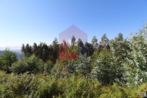 Helårsgrund i Vila Verde, Braga, Vila Verde - € 120.000 | Ref: 07452 - foto 8