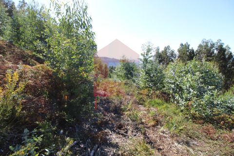 Helårsgrund i Vila Verde, Braga, Vila Verde - € 120.000 | Ref: 07452 - foto 9