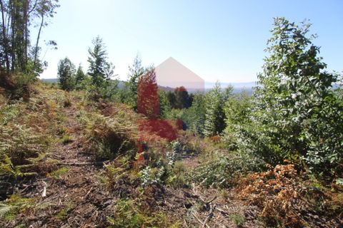 Helårsgrund i Vila Verde, Braga, Vila Verde - € 120.000 | Ref: 07452 - foto 11