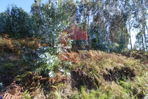 Helårsgrund i Vila Verde, Braga, Vila Verde - € 120.000 | Ref: 07452 - foto 12