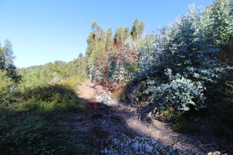 Helårsgrund i Vila Verde, Braga, Vila Verde - € 120.000 | Ref: 07452 - foto 16