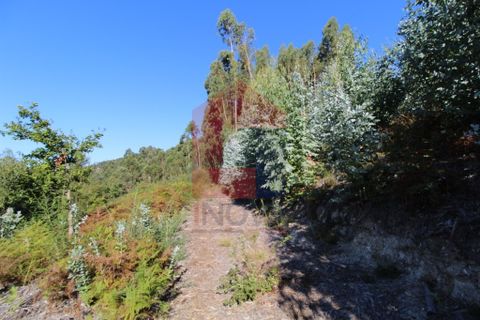 Helårsgrund i Vila Verde, Braga, Vila Verde - € 120.000 | Ref: 07452 - foto 18