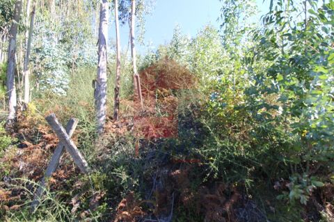 Helårsgrund i Vila Verde, Braga, Vila Verde - € 120.000 | Ref: 07452 - foto 19