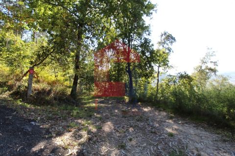 Helårsgrund i Vila Verde, Braga, Vila Verde - € 120.000 | Ref: 07452 - foto 20