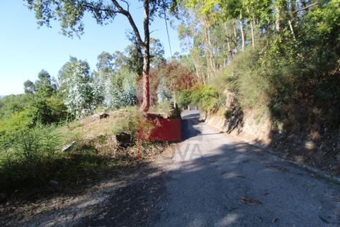 Helårsgrund i Vila Verde, Braga, Vila Verde - € 120.000 | Ref: 07452 - foto 21
