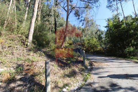 Helårsgrund i Vila Verde, Braga, Vila Verde - € 120.000 | Ref: 07452 - foto 22