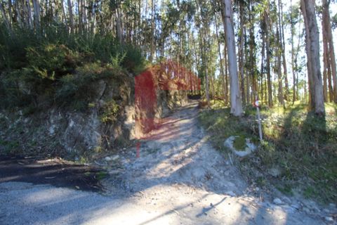 Helårsgrund i Vila Verde, Braga, Vila Verde - € 120.000 | Ref: 07452 - foto 23