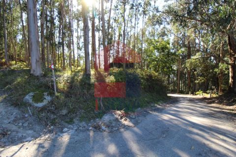 Helårsgrund i Vila Verde, Braga, Vila Verde - € 120.000 | Ref: 07452 - foto 24