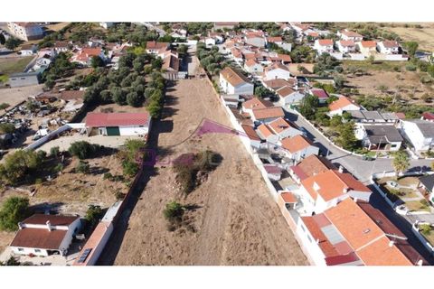 Terra a Riachos, Santarem, Riachos - € 165.000 | Ref: 2056 - foto 2