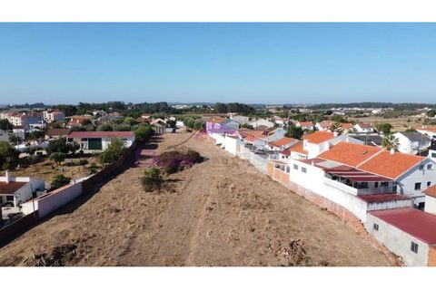 Terra a Riachos, Santarem, Riachos - € 165.000 | Ref: 2056 - foto 3