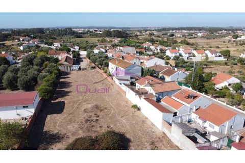 Terra a Riachos, Santarem, Riachos - € 165.000 | Ref: 2056 - foto 4