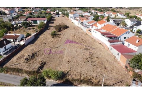 Terra a Riachos, Santarem, Riachos - € 165.000 | Ref: 2056 - foto 5