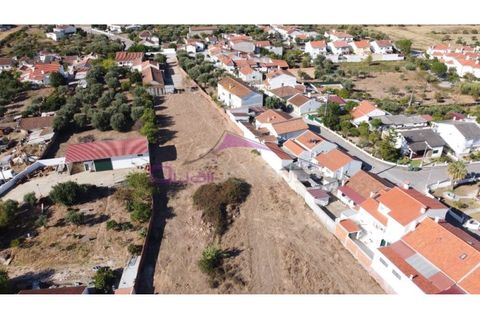 Terra a Riachos, Santarem, Riachos - € 165.000 | Ref: 2056 - foto 6