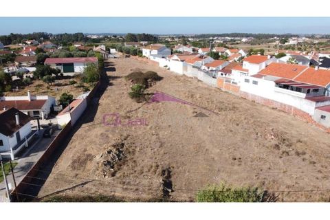 Terra a Riachos, Santarem, Riachos - € 165.000 | Ref: 2056 - foto 7