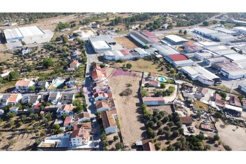 Terra a Riachos, Santarem, Riachos - € 165.000 | Ref: 2056 - foto 8