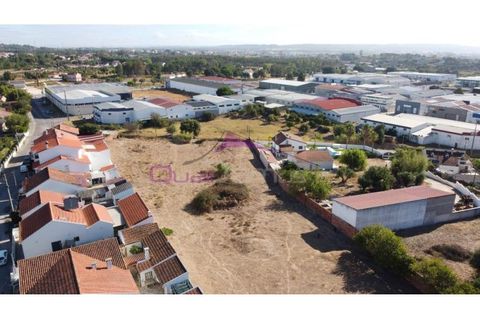 Terra a Riachos, Santarem, Riachos - € 165.000 | Ref: 2056 - foto 9