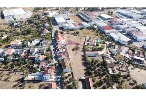 Terra a Riachos, Santarem, Riachos - € 165.000 | Ref: 2056 - foto 10
