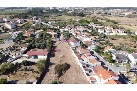 Terra a Riachos, Santarem, Riachos - € 165.000 | Ref: 2056 - foto 11