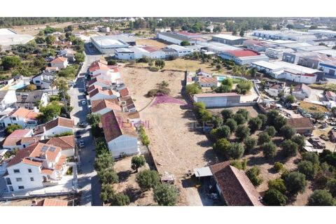 Terra a Riachos, Santarem, Riachos - € 165.000 | Ref: 2056 - foto 12