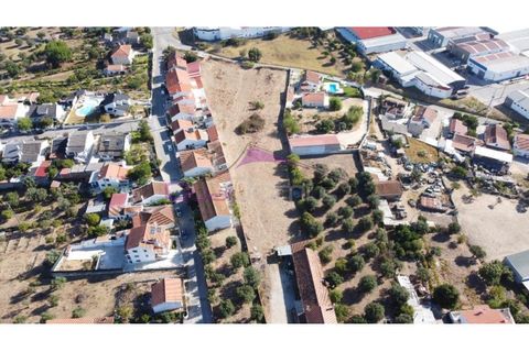 Terra a Riachos, Santarem, Riachos - € 165.000 | Ref: 2056 - foto 13