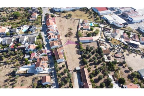 Terra a Riachos, Santarem, Riachos - € 165.000 | Ref: 2056 - foto 14