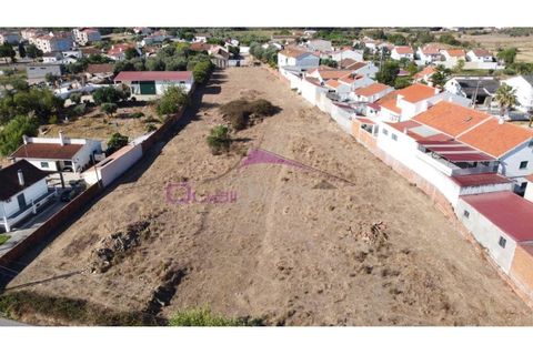 Terra a Riachos, Santarem, Riachos - € 165.000 | Ref: 2056 - foto 15