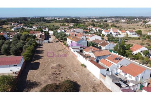 Terra a Riachos, Santarem, Riachos - € 165.000 | Ref: 2056 - foto 16