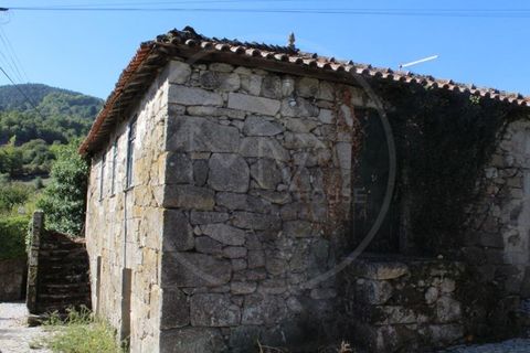 Herregård i Ribeira de Pena, Vila Real, Ribeira de Pena - € 99 500 | Ref: 68 - foto 3