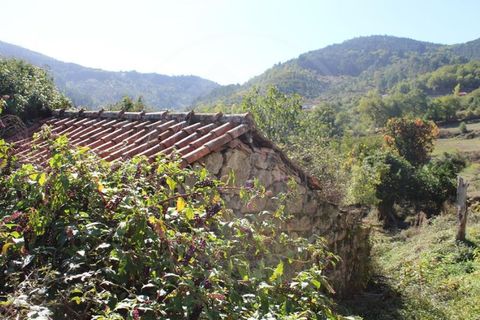 Herregård i Ribeira de Pena, Vila Real, Ribeira de Pena - € 99 500 | Ref: 68 - foto 11